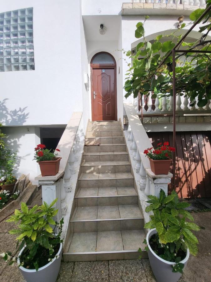 Apartman Rosa 扎达尔 外观 照片